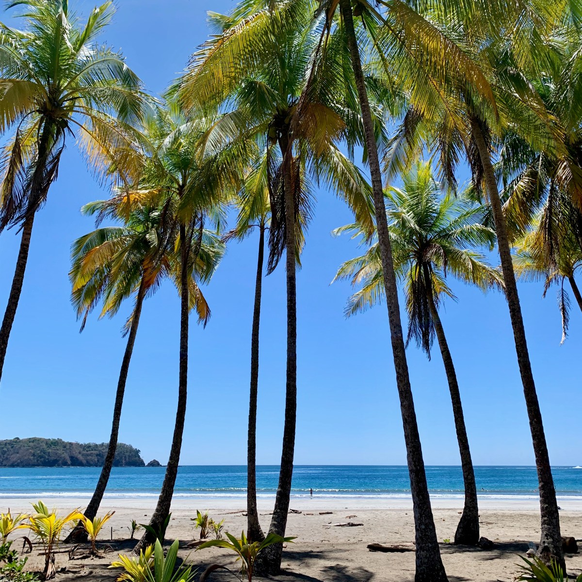 Solo in Sámara: Surf Lessons, Crocodiles, and the Realities of Pura&nbsp;Vida